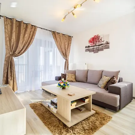 Apartment Dream Brasov